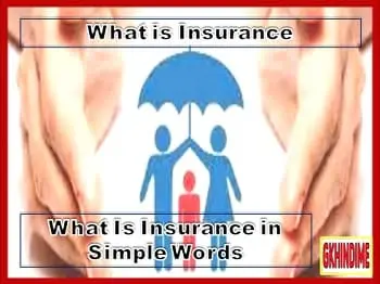 What-is-Insurance
